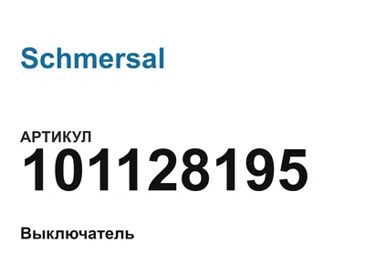 101128195 Schmersal