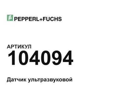 104094 Pepperl+Fuchs