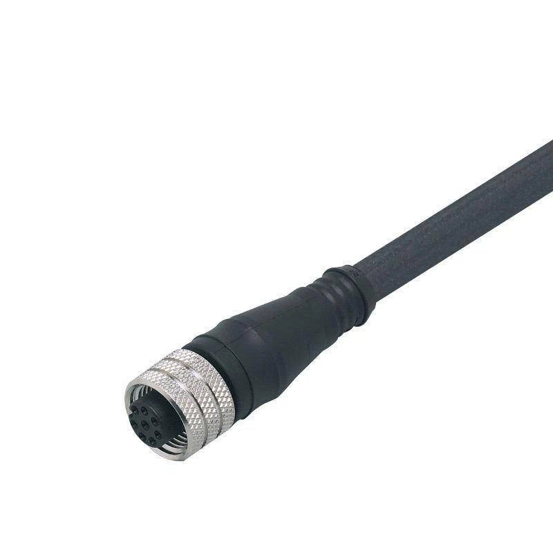 E11856 IFM