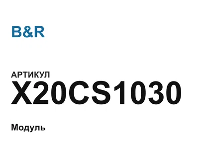 X20CS1030 B&R