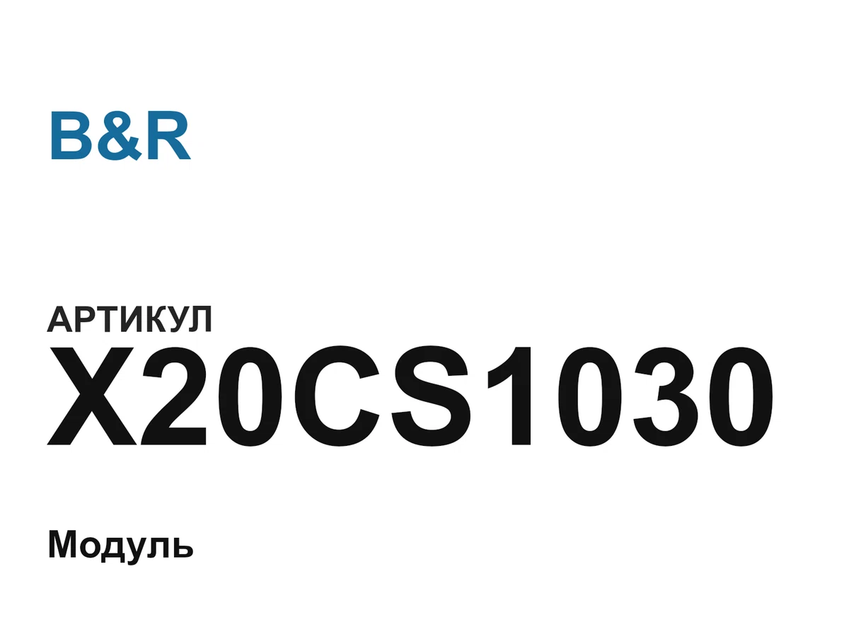 X20CS1030 B&R
