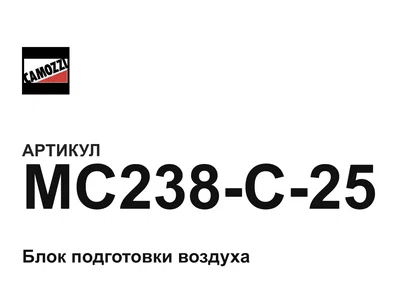 MC238C25 Camozzi