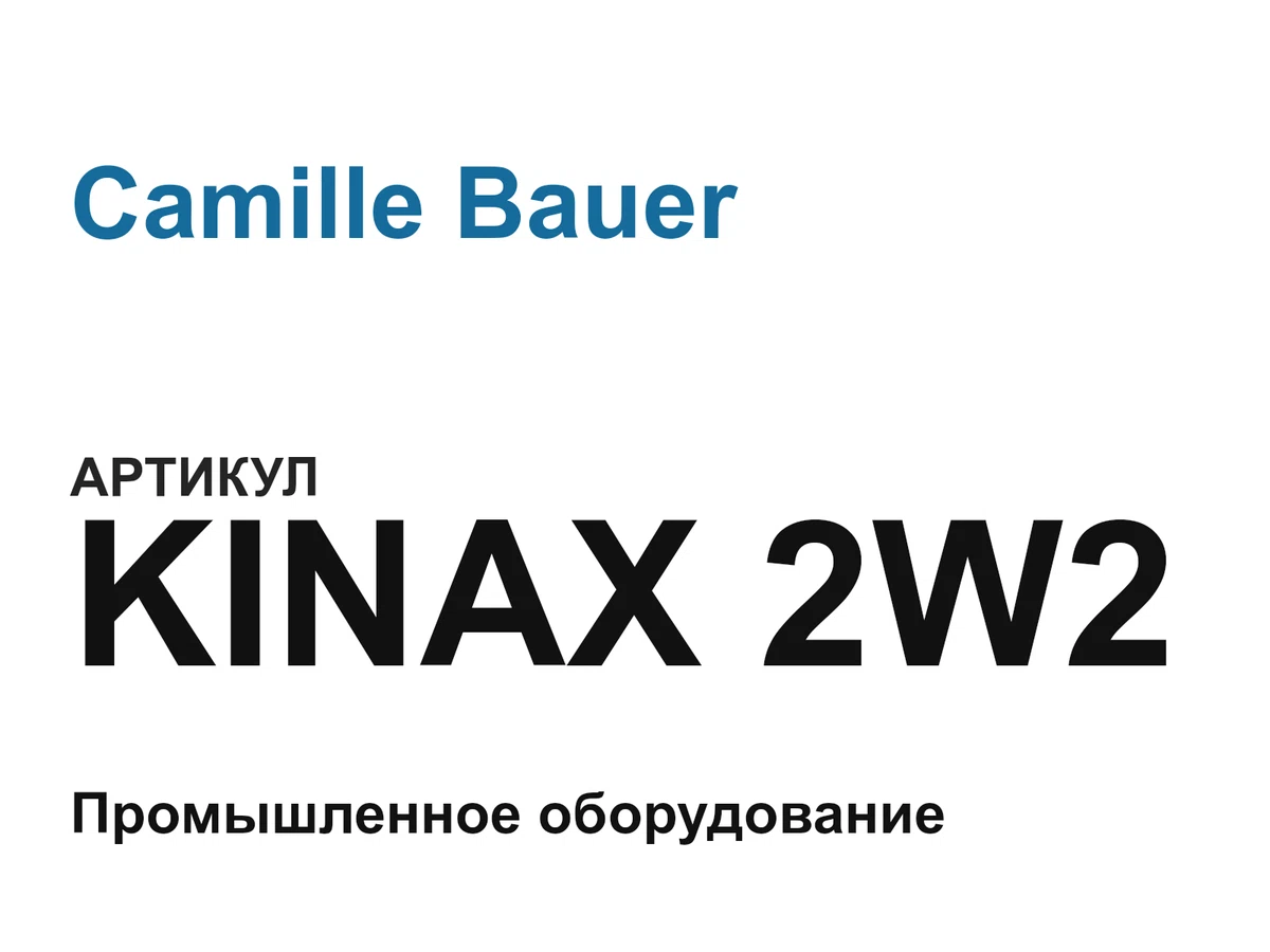 KINAX2W2 Camille Bauer