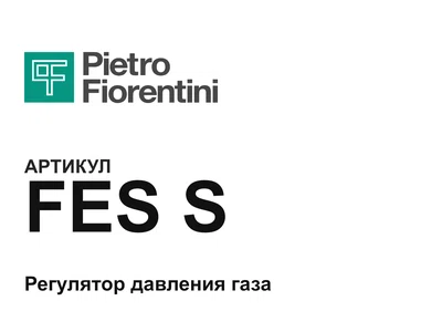 FESS Pietro Fiorentini
