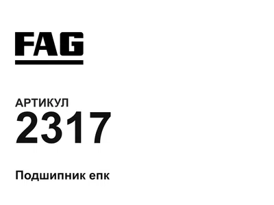 2317 FAG