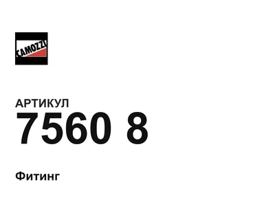 75608 Camozzi