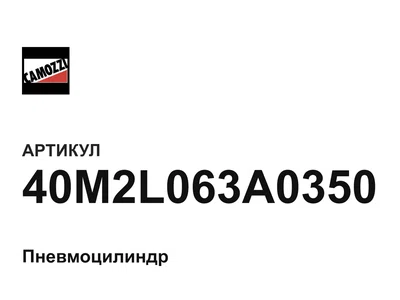 40M2L063A0350 Camozzi