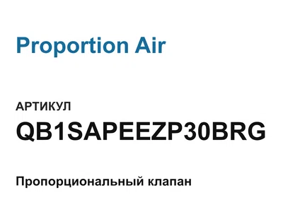 QB1SAPEEZP30BRG Proportion Air