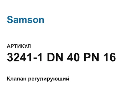 32411DN40PN16 Samson
