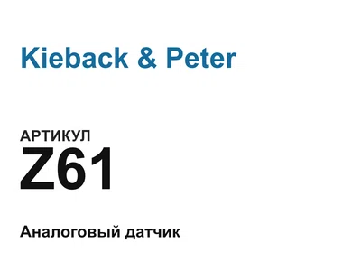 Z61 Kieback & Peter