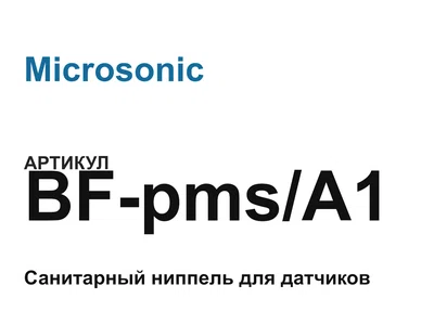 BFpmsA1 Microsonic