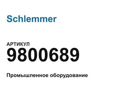 9800689 Schlemmer