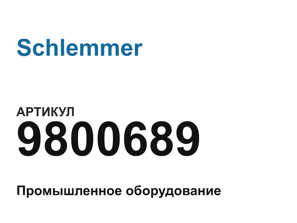 9800689 Schlemmer