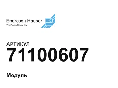 71100607 Endress+Hauser