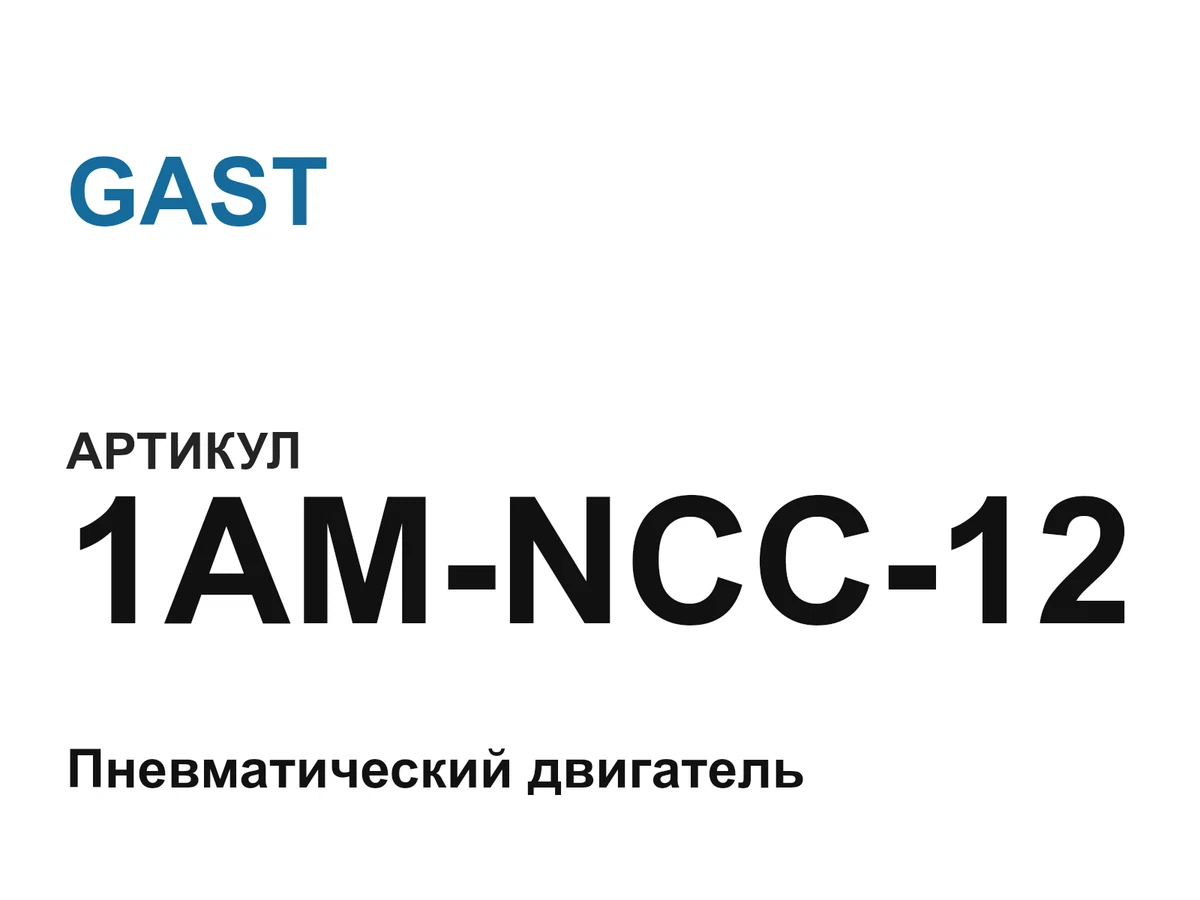 1AMNCC12 GAST