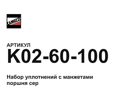 K0260100 Camozzi