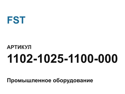 110210251100000 FST