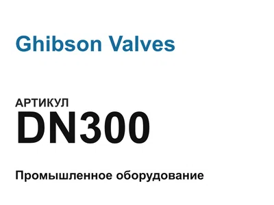 DN300 Ghibson Valves