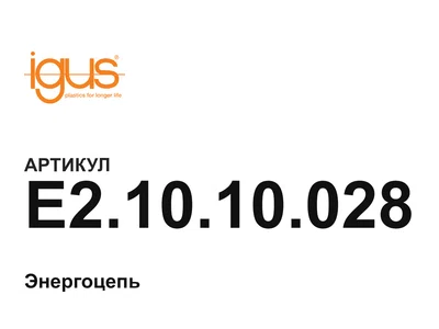 E21010028 igus