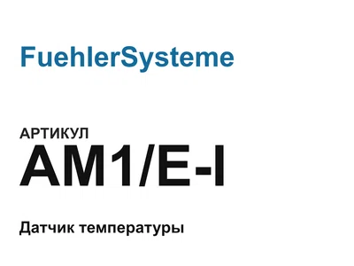 AM1EI FuehlerSysteme