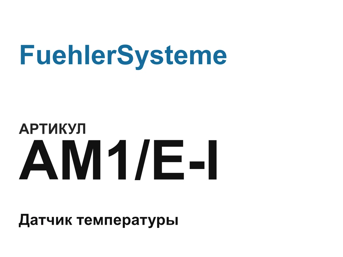 AM1EI FuehlerSysteme