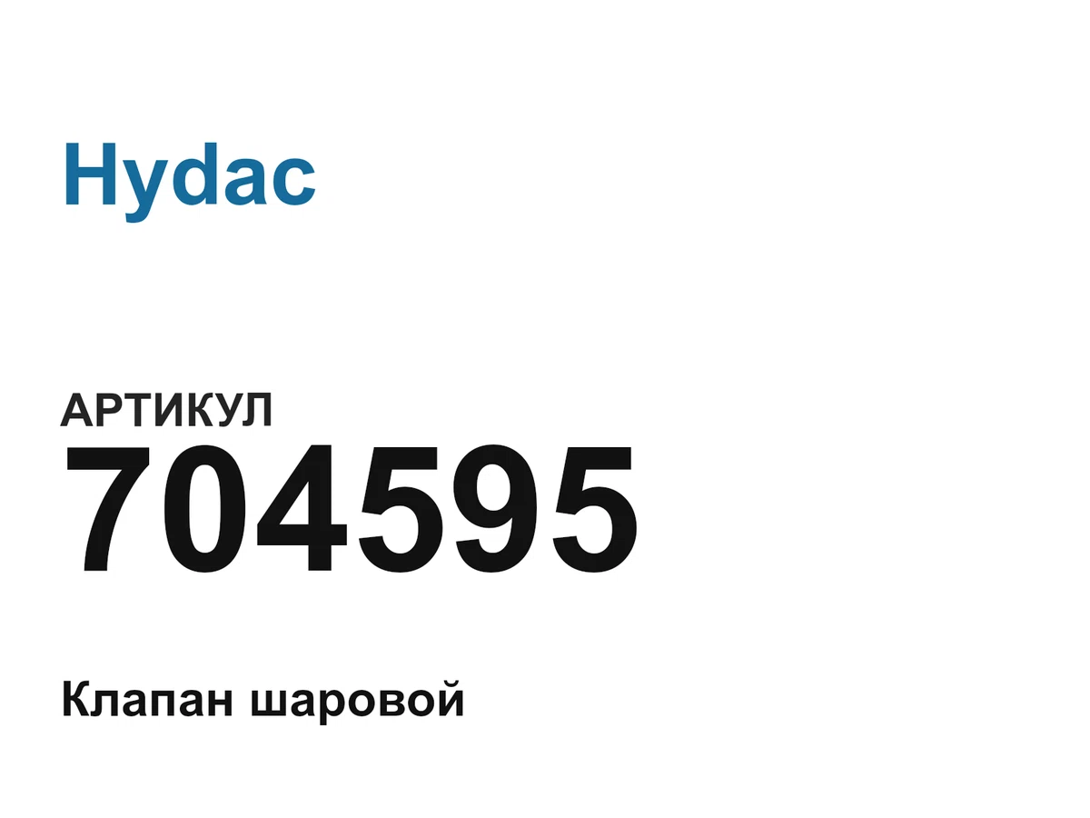 704595 Hydac
