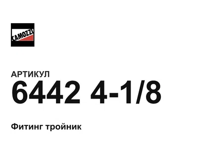 6442418 Camozzi