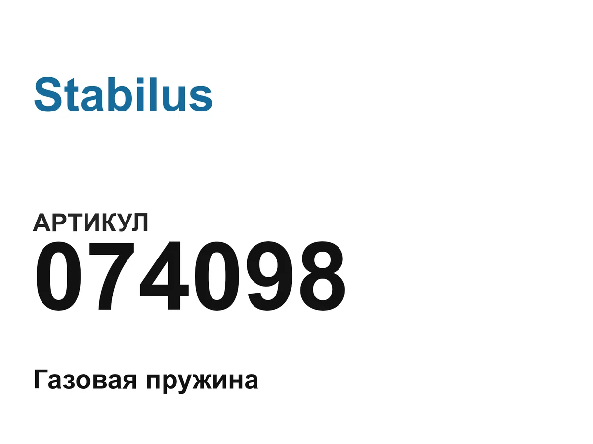074098 Stabilus