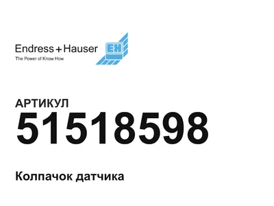 51518598 Endress+Hauser