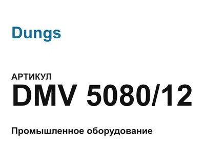 DMV508012 Dungs
