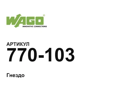 770103 Wago