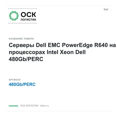 480Gb/PERC Dell