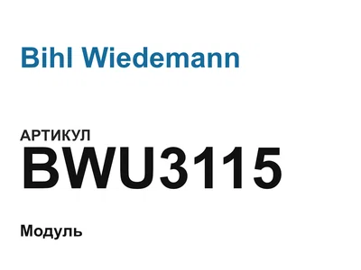 BWU3115 Bihl Wiedemann