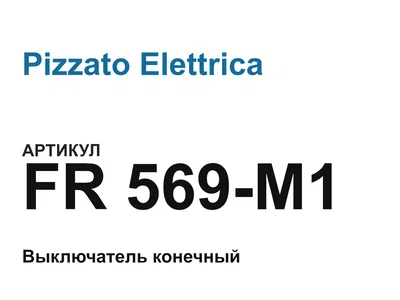 FR569M1 Pizzato Elettrica