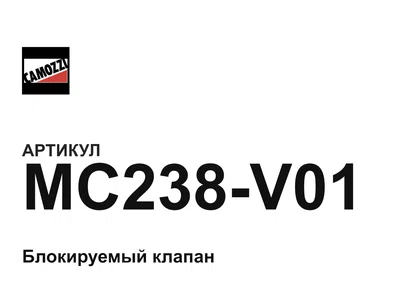 MC238V01 Camozzi