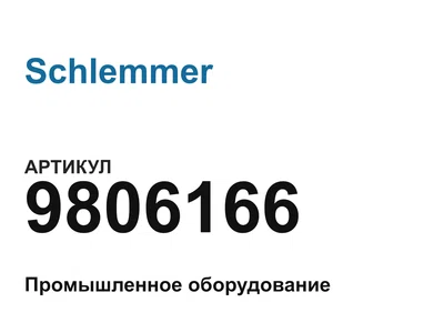 9806166 Schlemmer
