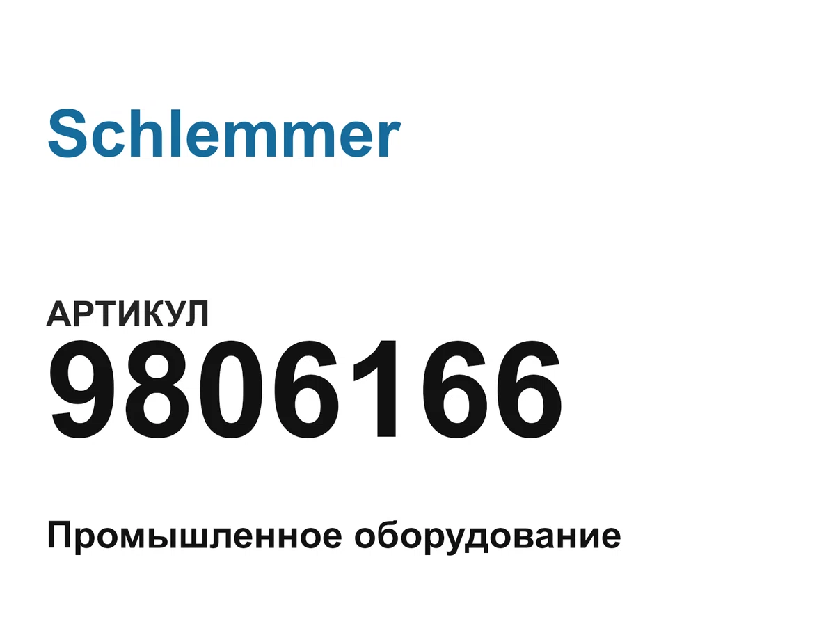 9806166 Schlemmer