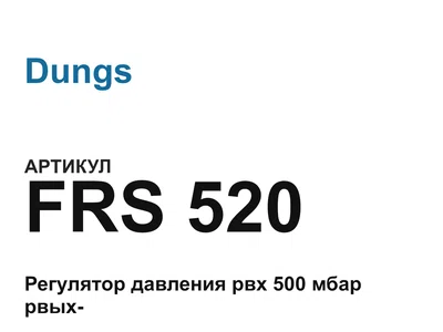 FRS520 Dungs