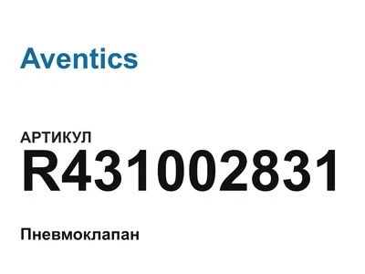 R431002831 Aventics