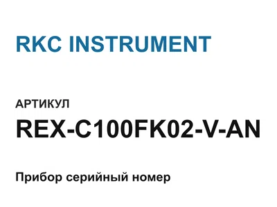 REXC100FK02VAN RKC INSTRUMENT