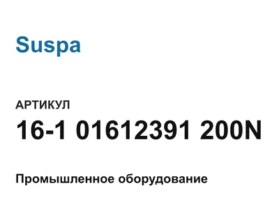 16101612391200N Suspa