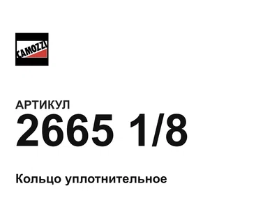 266518 Camozzi