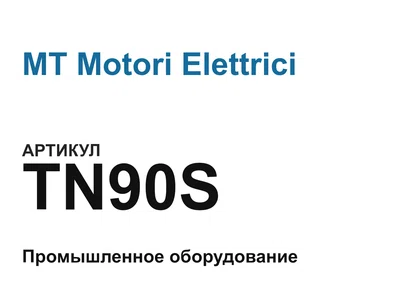 TN90S MT Motori Elettrici