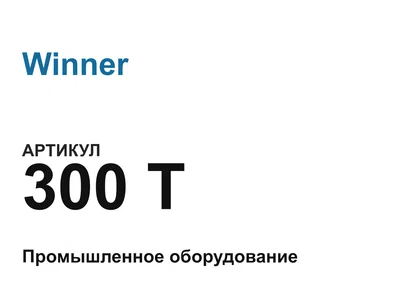 300T Winner