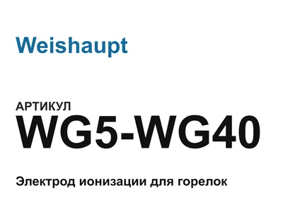WG5WG40 Weishaupt