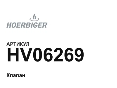 HV06269 HOERBIGER
