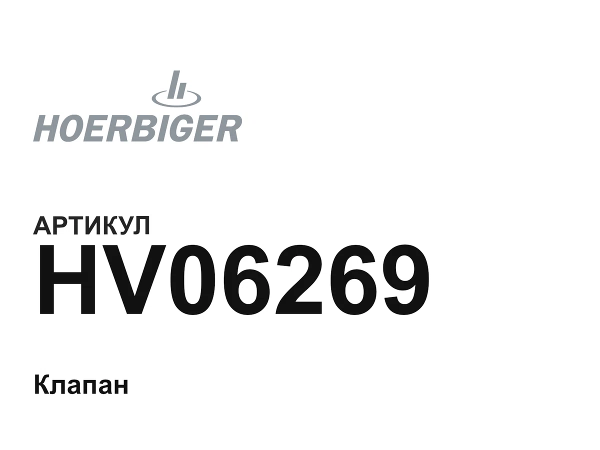 HV06269 HOERBIGER