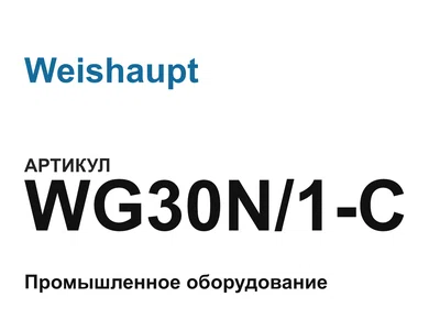WG30N1C Weishaupt