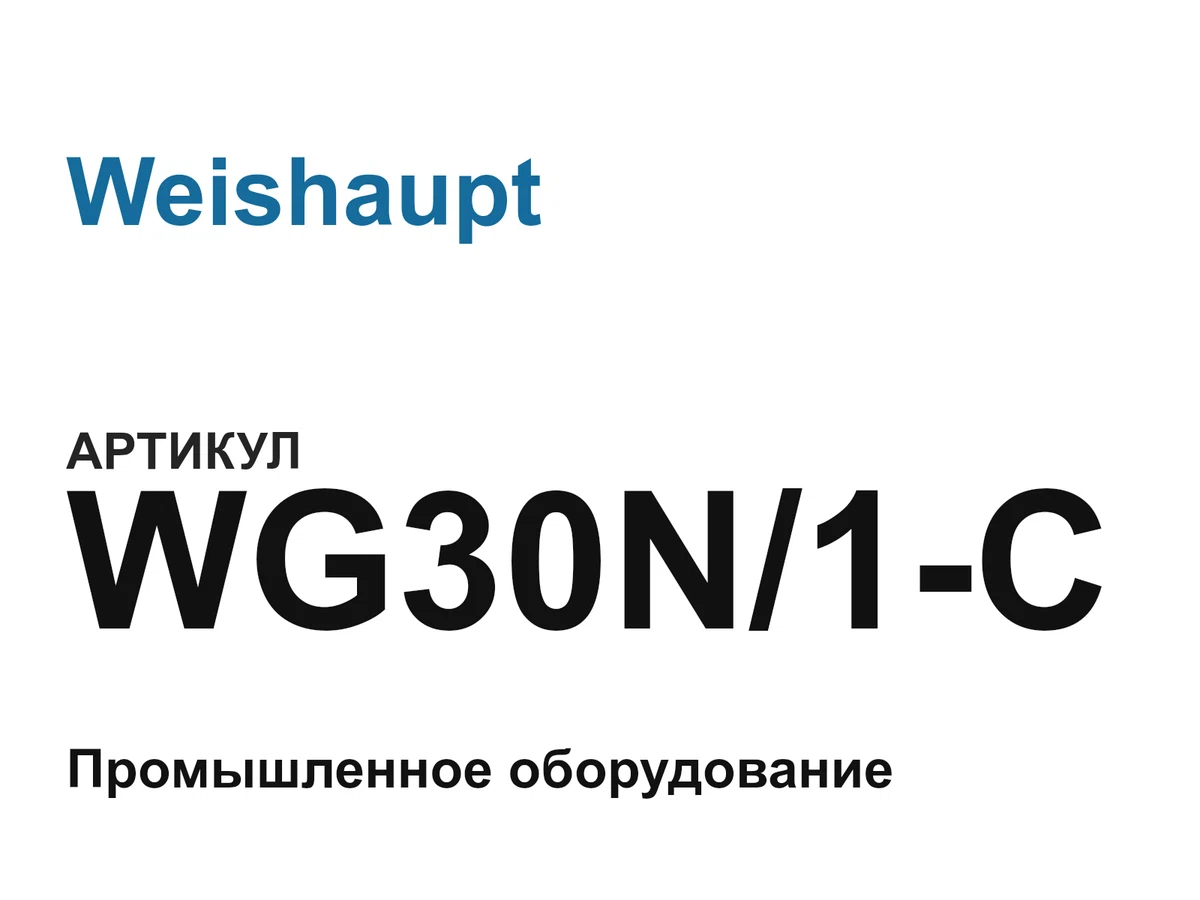 WG30N1C Weishaupt