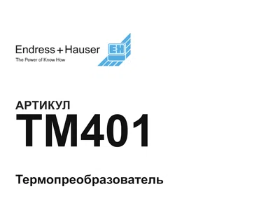 TM401 Endress+Hauser